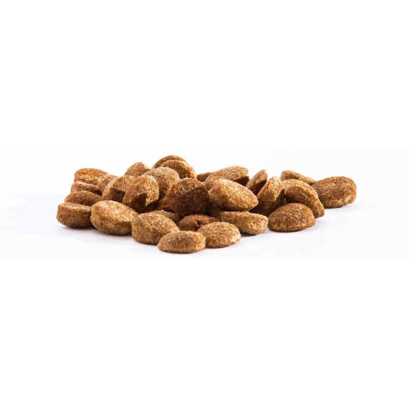 FitActive Hypo Lamb kibble.jpg