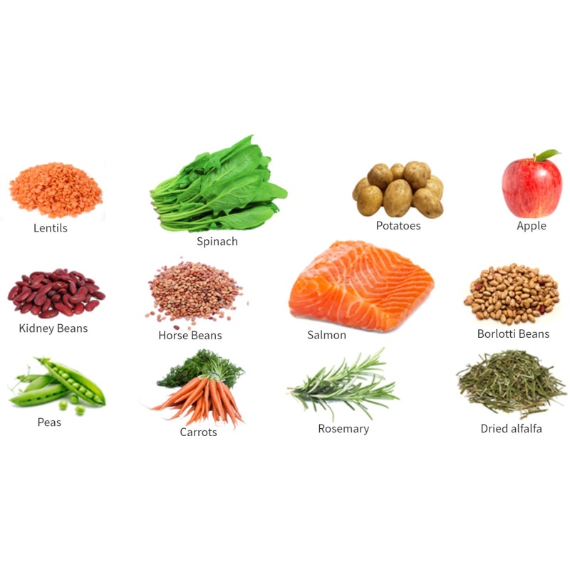 salmonandspinacingredients.JPG